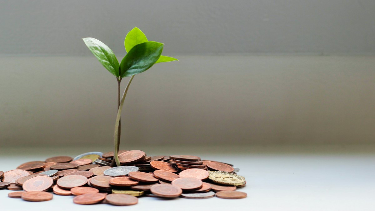 Coins with a small plant growing from them